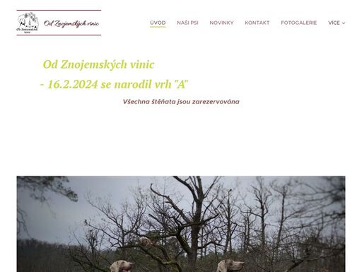 www.chs-od-znojemskych-vinic.cz
