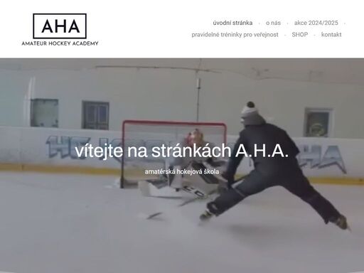 www.amateur-hockey-academy.cz