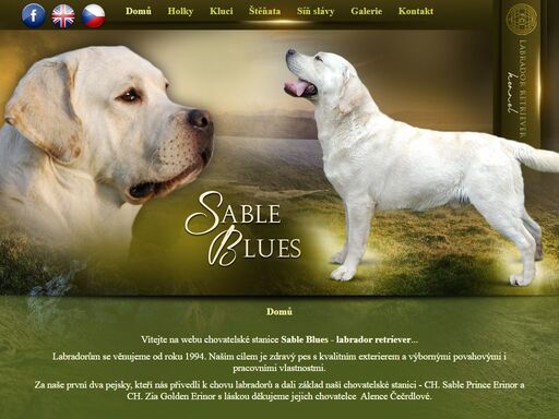 sable blues - labrador retríever. labradorům se věnujeme od roku 1994. naším cílem je zdravý pes s kvalitním exterierem a výbornými povahovými i pracovními vlastnostmi. všichni naši pejsci mají nadstandartní zdravotní vyšetření a většina z nich i pracovní zkoušky.