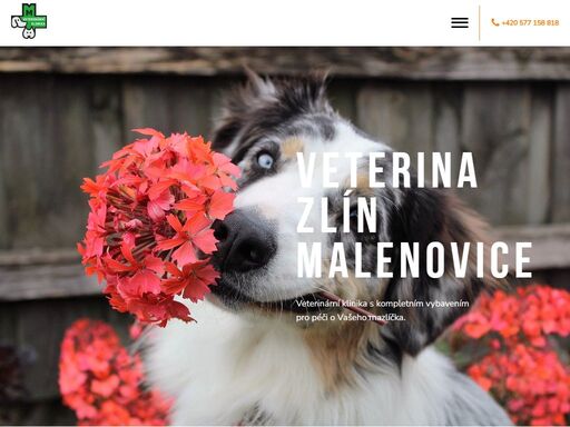 www.veterinarniklinika.cz