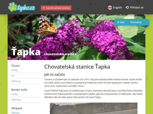 www.chstapka.cz