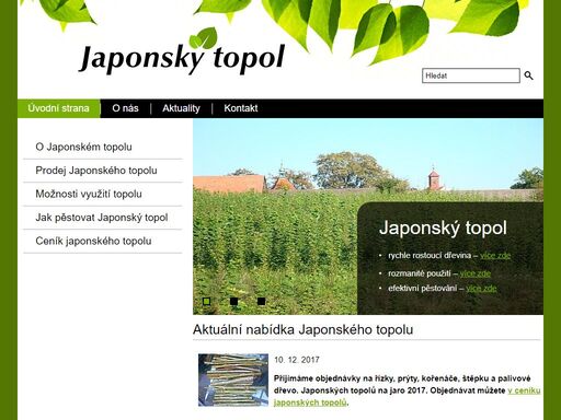 japonský topol je rychle rostoucí dřevina. prodáváme prýty, řízky a kořenáče japonského topolu. biomasa z japonského topolu je alternativou pro drahé komerční zdroje vytápění.