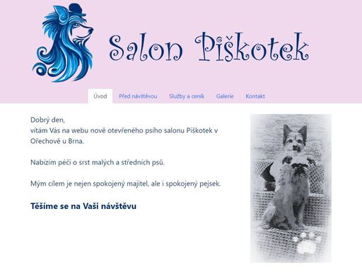 www.salon-piskotek.cz