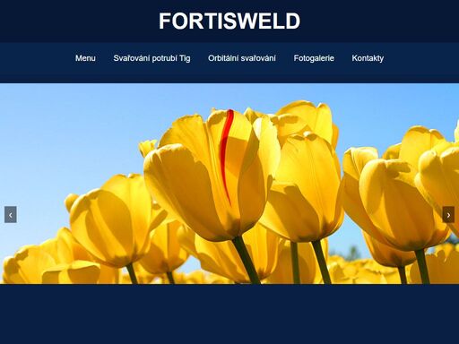 www.fortisweld.cz