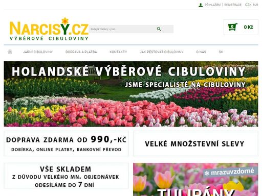 www.narcisy.cz