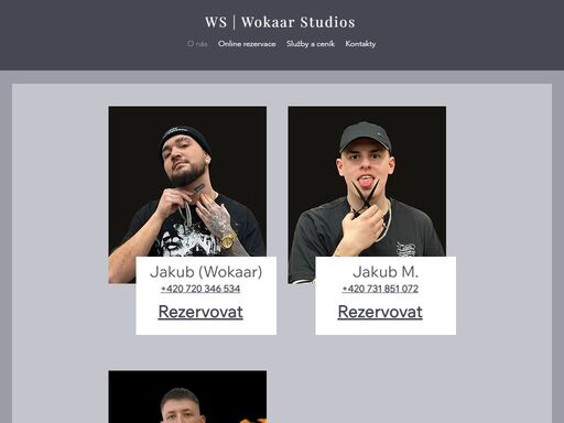 základní informace o wokaarstudios
