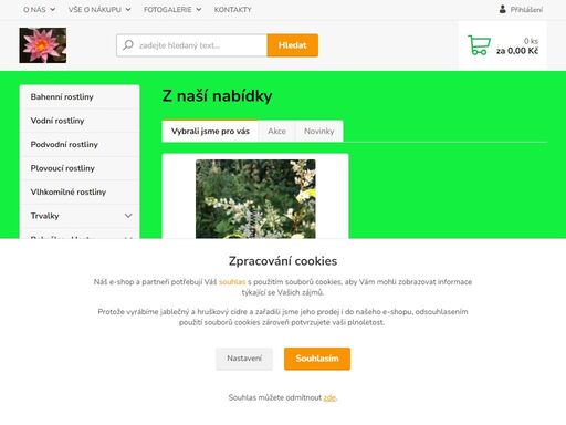 rostliny, puškvorec, jezera, jezírka, voda, zahrada, realizace, kácení, projekce, návrhy, koupací jezera, údržby, trvalky, automatické závlahy hunter