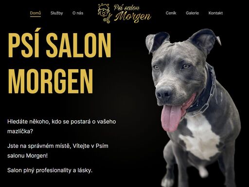 psí salon morgen v české třebové poskytující nadstandardní služby a individuální přístup. naše nabídka zahrnuje téměř vše.