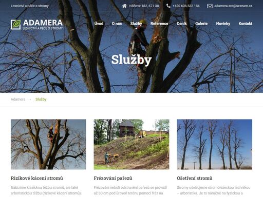 firma adamera s.r.o. vám nabízí služby v oblasti lesnictví a péče o stromy. rizikové kácení stromů, frézování pařezů, ošetření dřevin a další.
