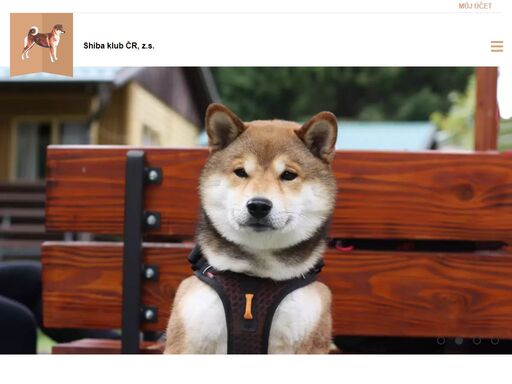 shiba, shiba inu, shiba klub čr shiba klub čr, z. s. je prvním specializovaným chovatelským klubem plemene shiba inu v evropě. klub je členem fci prostřednictvím čmku.
