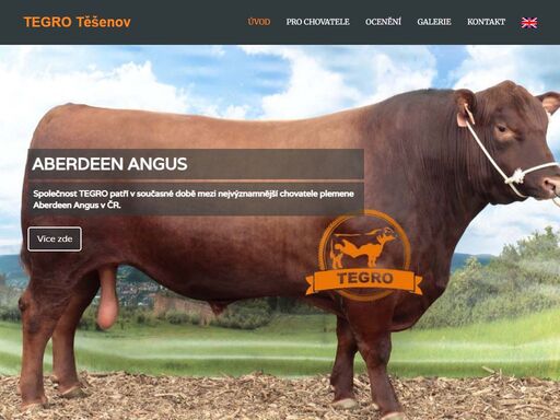 chov dojnic s mléčnou produkcí plemene holštýn a chov krav bez tržní produkce mléka plemene aberdeen angus.