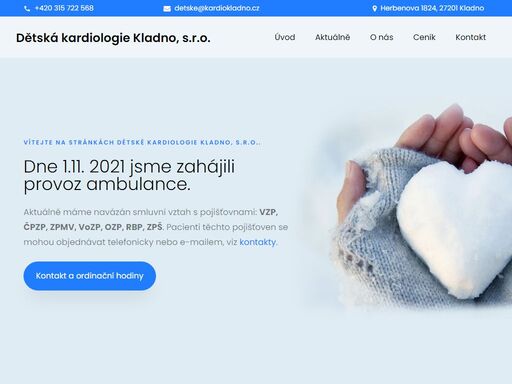 konceptem ambulance je zajištění specializované ambulantní péče pacientům z širšího regionu kladna a okolí (záchyt, vyšetření, sledování a léčba pacientů s vrozenými srdečními vadami, poruchou srdečního rytmu, hypertenzí či příznaky kardiálního onemocnění – šelesty, kolapsy, neprospívání, bolest na hrudi). v případě potřeby možnost poskytnutí konsiliární kardiologické péče pro spádová novorozenecká/dětská oddělení v regionu.