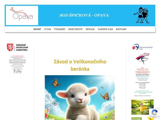 sportovní gymnastický klub