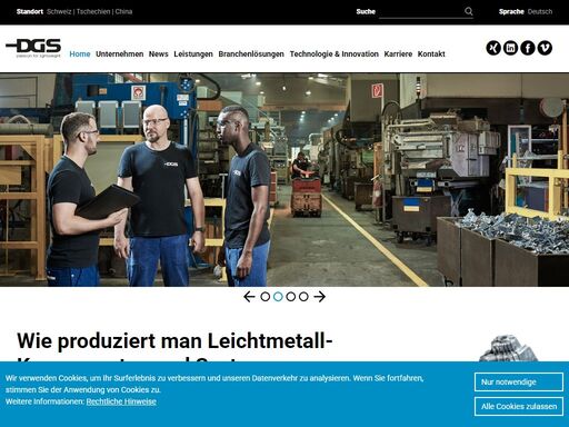 dgs-druckguss.com