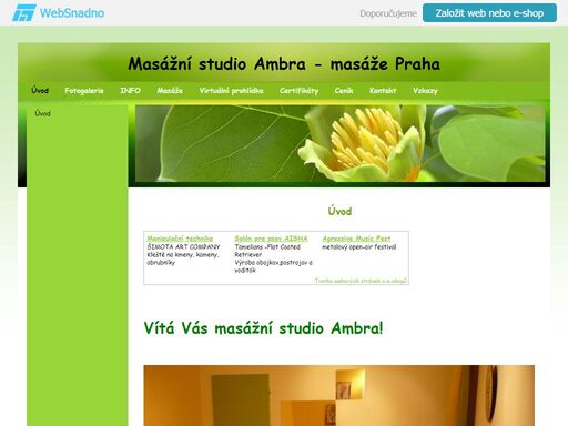 masážní studio ambra - klasická sportovní masáž, lávové kameny, baňkování, anticelulitidová masáž, indická masáž hlavy, dornova metoda, breussova masáž 