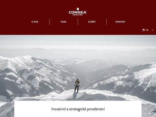 connea consulting využívá dlouholeté praxe seniorních odborníků k poradenství v projektovém řízení např. v oblastech it, podnikové strategie, marketingu a řízení obchodních příležitostí.