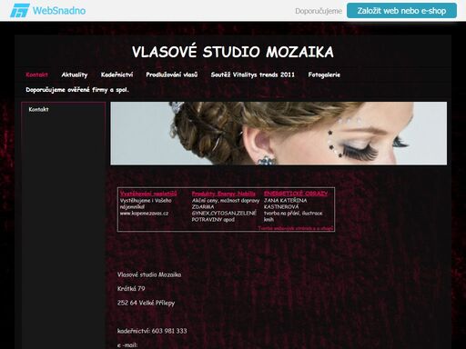 vlasové studio mozaika