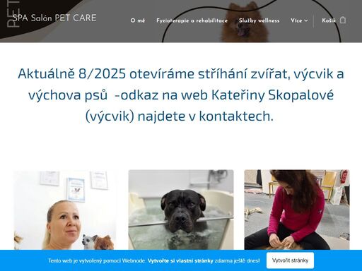 dentální hygiena ultrazvukovým kartáčkem emmi pet
