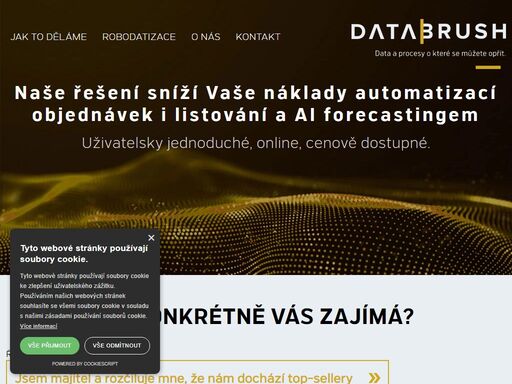 www.databrush.cz