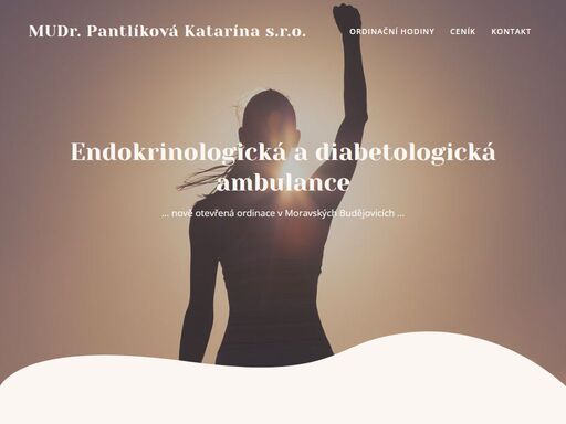 www.pantlikova.cz