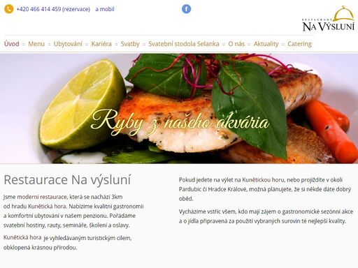 restaurace-navysluni.cz