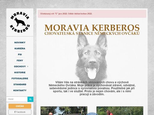 moravia kerberos - stránka chovatelské stanice, oddaná chovu a výchově německého ovčáka.