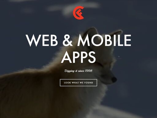 cyber fox builds web and mobile apps. since 1998. check out our portoflio.