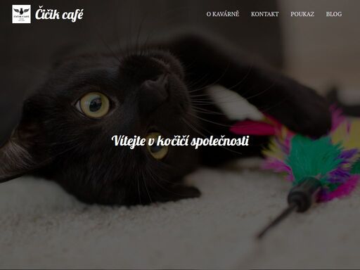 www.cicik-cafe.cz