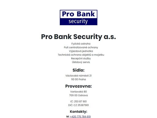 pro bank security