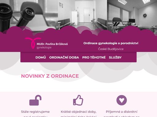 gynekologiebrcakova.cz