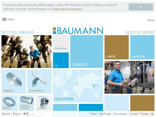 baumann-springs.com