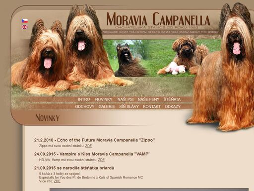 chovatelská stanice moravia campanella - briard a německý ovčák :: berger de brie and german shepherd dog breeder