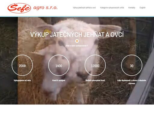 firma šefc agro s.r.o. se zabývá výkupem jatečných jehňat a ovcí po celé české republice.