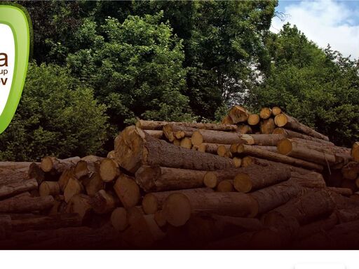 dřevěné brikety, pelety, biomasa, palivové dřevo, štěpky, obalový materiál, palety, řezivo