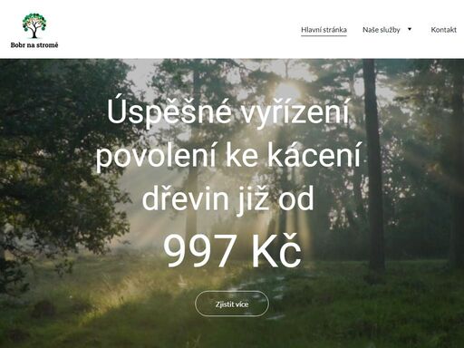 firma bobr na stromě se specializuje na profesionální arboristickou péči o stromy v brně a jihomoravském kraji. děláme rizikové kácení, ořezy i výsadby. zastoupíme vás taktéž na úřadech při povolení ke kácení či jiných úkonech jako jsou třeba dotace. arboristika brno, arbo brno, arboristika.