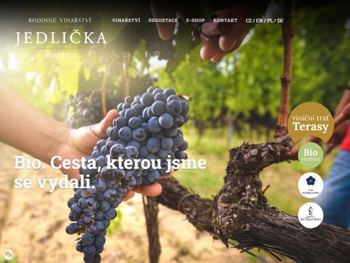 v rodinném vinařství jedlička se snažíme vnímat přírodu a být s ní v souladu. není to proto, že by se jednalo o trendovou záležitost. snažíme se žít v symbióze s révou vinnou i nádhernou krajinou naší části moravy. bio produkce hroznů nám umožňuje vrátit se technologií výroby červených vín až před rok 1907.