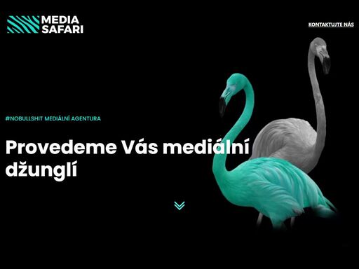 mediasafari.cz