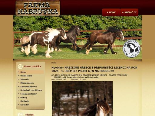 farma habrůvka chov a prodej irských tinkerů, irish cob, kamerunských oveček a holandských zakrslých koz. fotogalerie, videa, inzerce, diskuze.