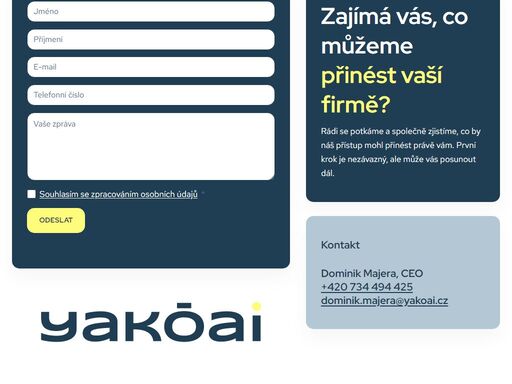 pomáháme firmám rozvíjet přístup lidí a kulturu spolupráce.