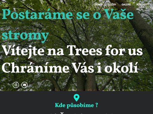 postaráme se o vaše stromy - | arboristika | rizikové kácení | frézování... posouzení zdravotního stavu stromu.