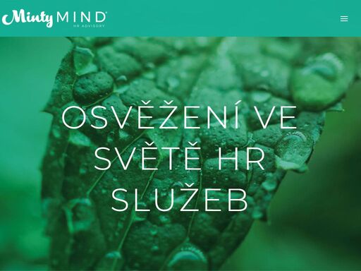 jsme inspirativní business partner v oblasti lidských zdrojů. pomáháme s nastavením hr procesů, rozvojem zaměstnanců a objevujeme talenty.