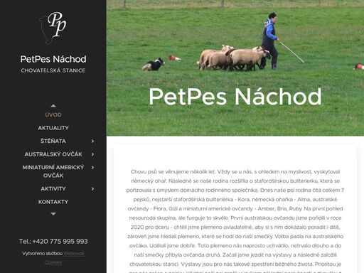 chovu psů se věnujeme několik let. vždy se u nás, s ohledem na myslivost, vyskytoval německý ohař. následně se naše rodina rozšířila o stafordšírskou bullterierku, která se pořizovala s úmyslem domácího rodinného společníka. dnes naše psí rodina čítá celkem 7 pejsků, nejstarší stafordšírská bullteriérka - kora, německá ohařka - alma, australské...