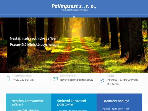 nestátní zdravotnické zařízení - pracoviště klinické psychologie palimpsest s.r.o.