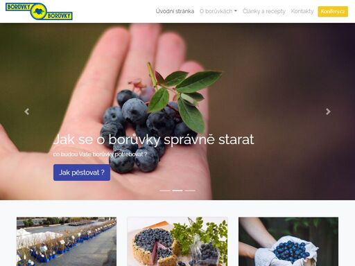 boruvky, kanadske, konifery, zehusice, recepty, jak pestovat borůvky - kanadské borůvky od konifery s.r.o.