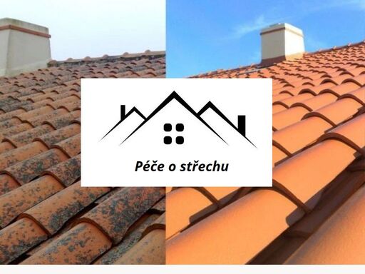 čištění, renovace, nátěry střech a dlažeb