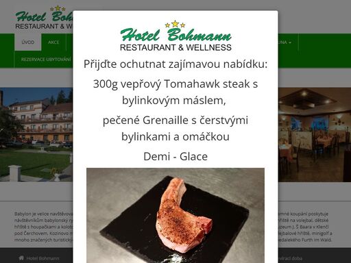 www.hotelbohmann.cz