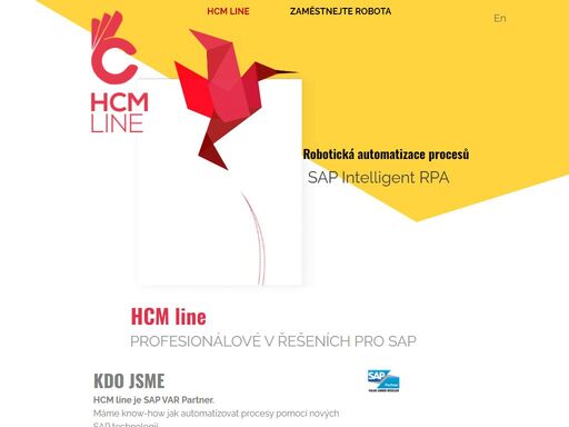 robotická automatizace procesů - sap irpa
