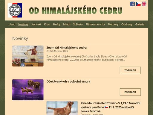 od himalájského cedru moje chovatelská stanice byla založena roku 1994. odchovávám štěňátka pouze s průkazem původu fci. koupí štěňátka s průkazem původu se