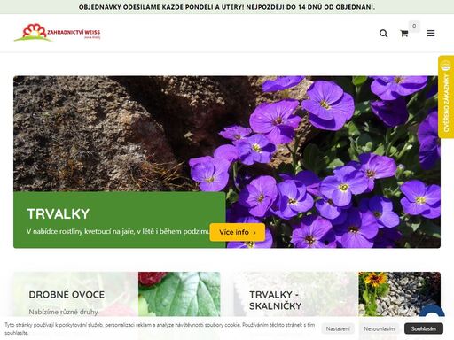 rodinné zahradnictví v oticích se zásilkovým prodejem. pěstujeme bylinky, skalničky, drobné ovoce, chryzantémy, okrasné dřeviny, balkonové rostliny. v nabídce je také sez ...