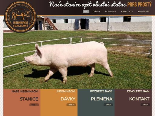inseminační stanice kanců. isk salaš u velehradu.